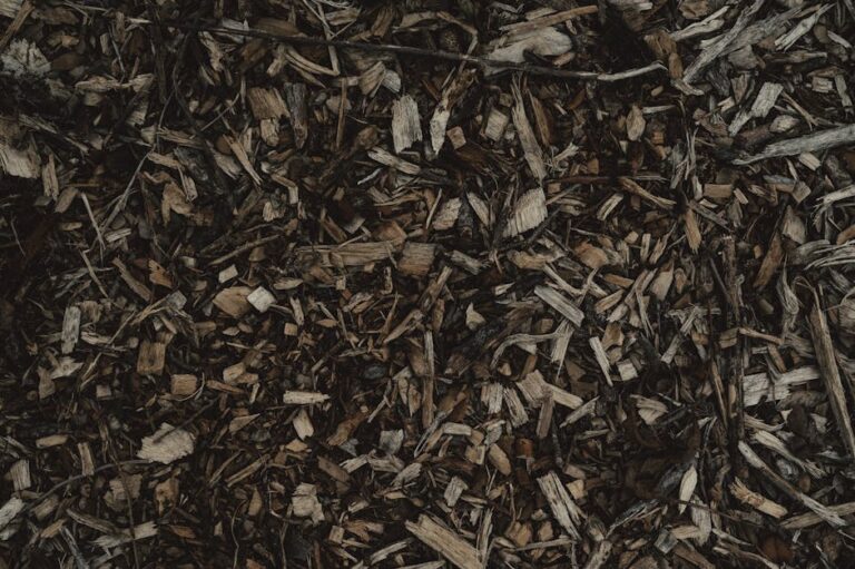 How to Mix Compost into Potting Soil: A Step-by-Step Guide for Healthier Plants