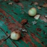 How to Prevent Rodents in Small Compost Bins: 7 Proven Tips