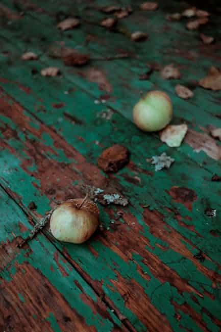 How to Prevent Rodents in Small Compost Bins: 7 Proven Tips