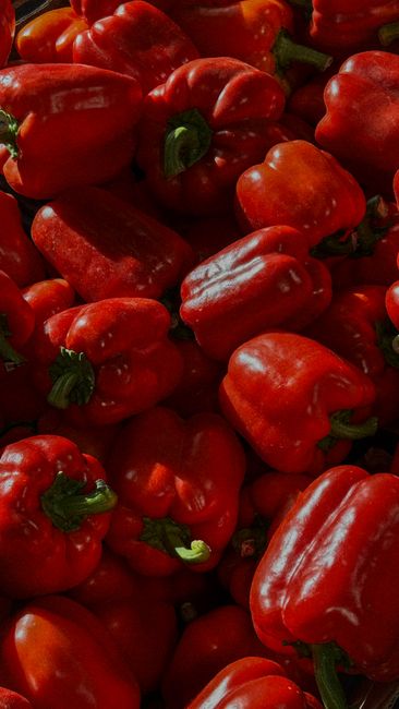 What Plants Benefit Most From Homemade Compost: A Complete Gardener's Guide