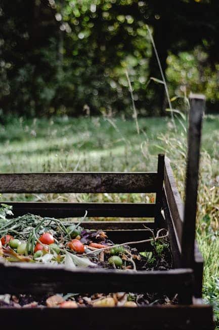 Best Compost Bin for a North Facing Balcony: Top Picks for Low-Light Spaces