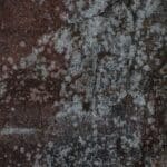 Why Does My Compost Bin Smell? Common Causes and How to Fix Them