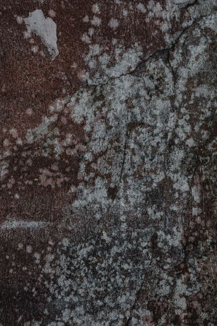 Why Does My Compost Bin Smell? Common Causes and How to Fix Them