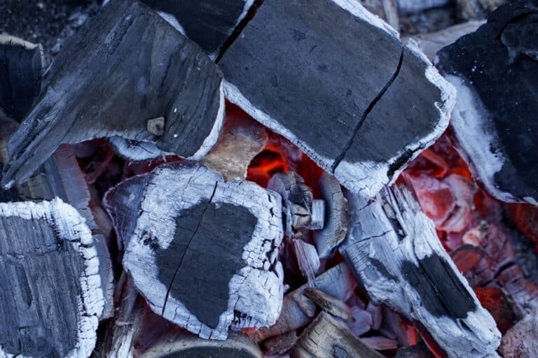 Best Mini Compost Bin for Studios: Top Compact Picks for Small-Space Living